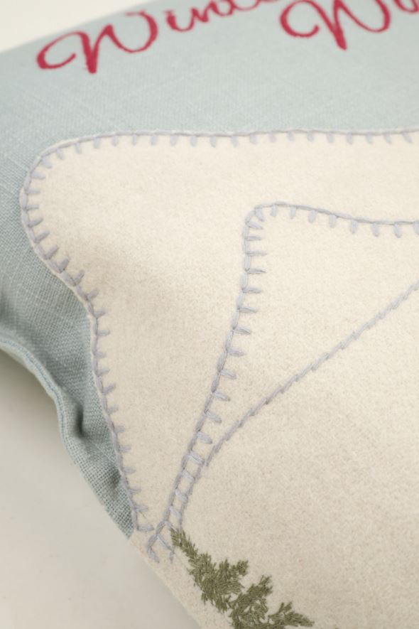 Koristetyynynpäällinen moniväri - 3