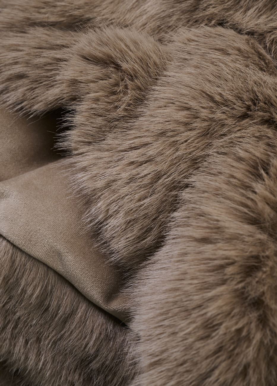 Turkishuopa kameli - 2