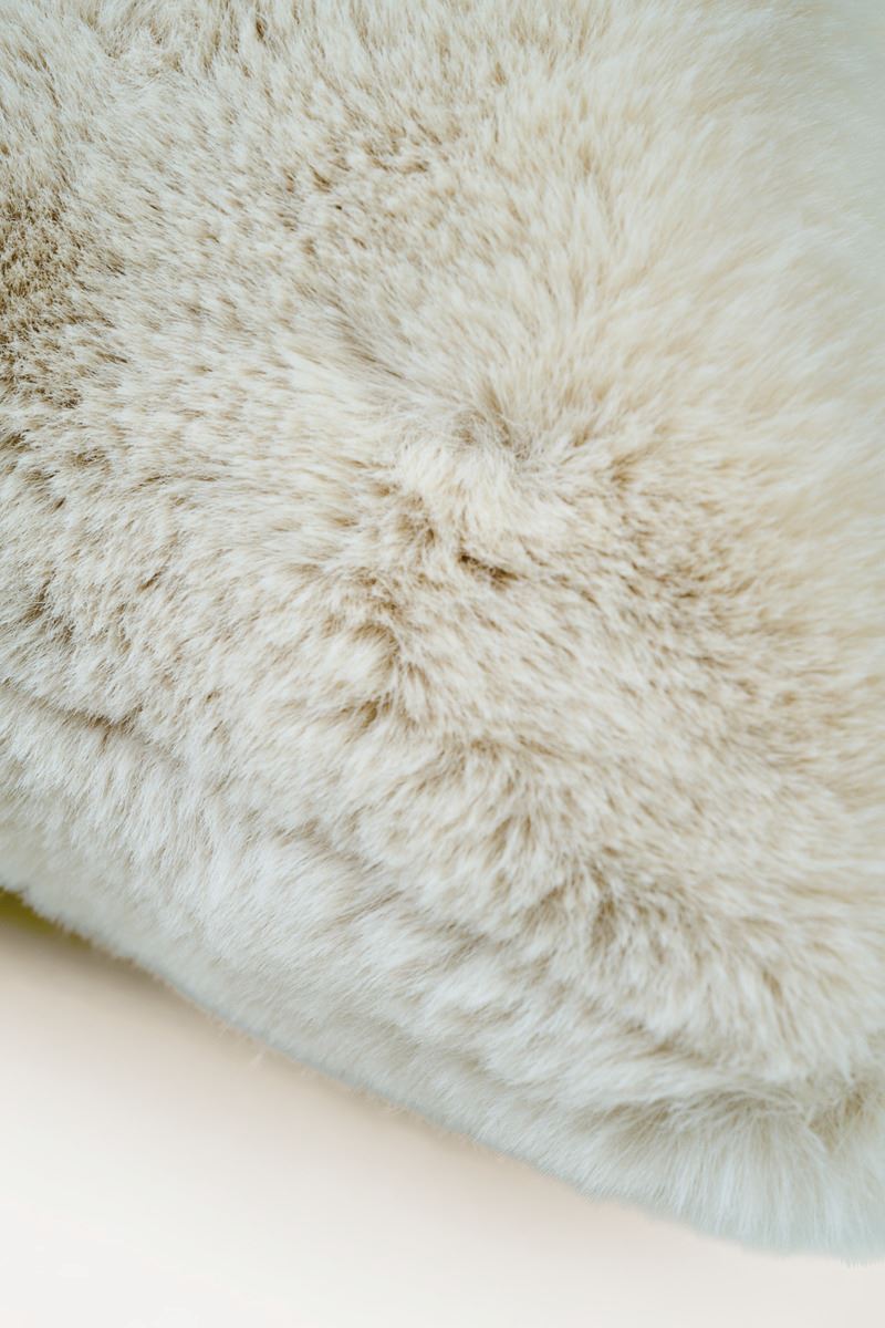 Koristetyynynpäällinen beige - 2