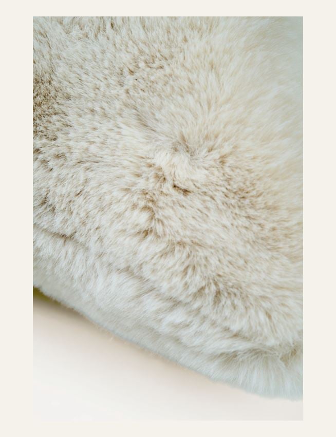 Koristetyynynpäällinen beige - 2