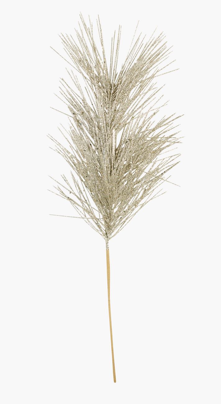 Oksa samppanja - 62 cm samppanja - 1