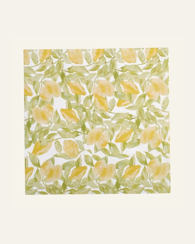 Paperiservetit moniväri/keltainen - 33x33 cm moniväri/keltainen - 1