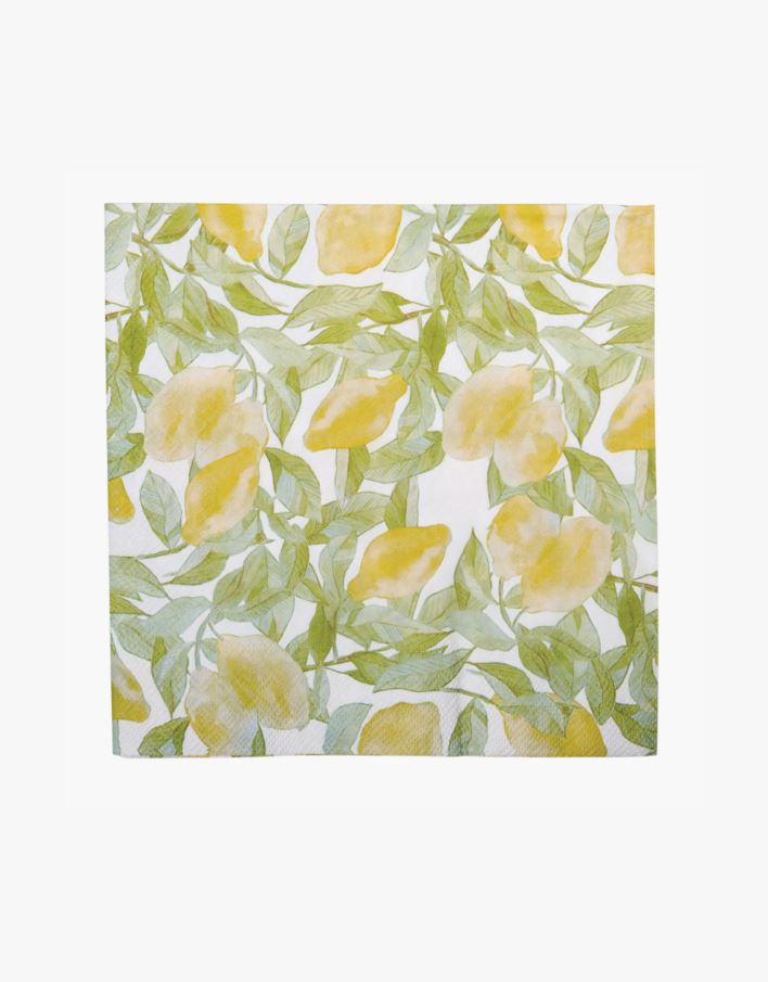 Ruokaservetit moniväri/keltainen - 40x40 cm moniväri/keltainen - 1