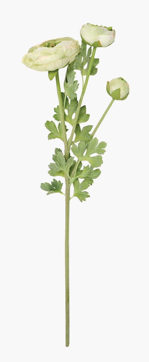 Kukka vihreä - 18x14x63,5 cm vihreä - 1