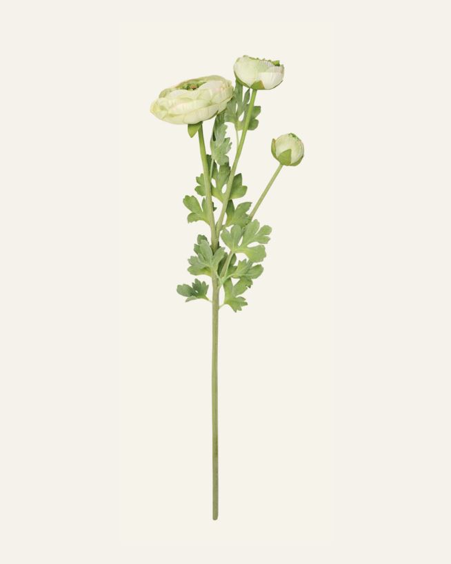 Kukka vihreä - 18x14x63,5 cm vihreä - 1