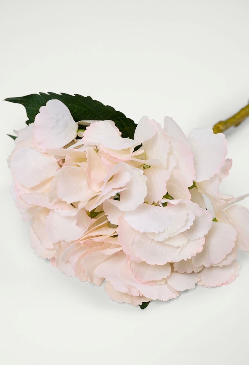 Kukka vaaleanroosa - 2