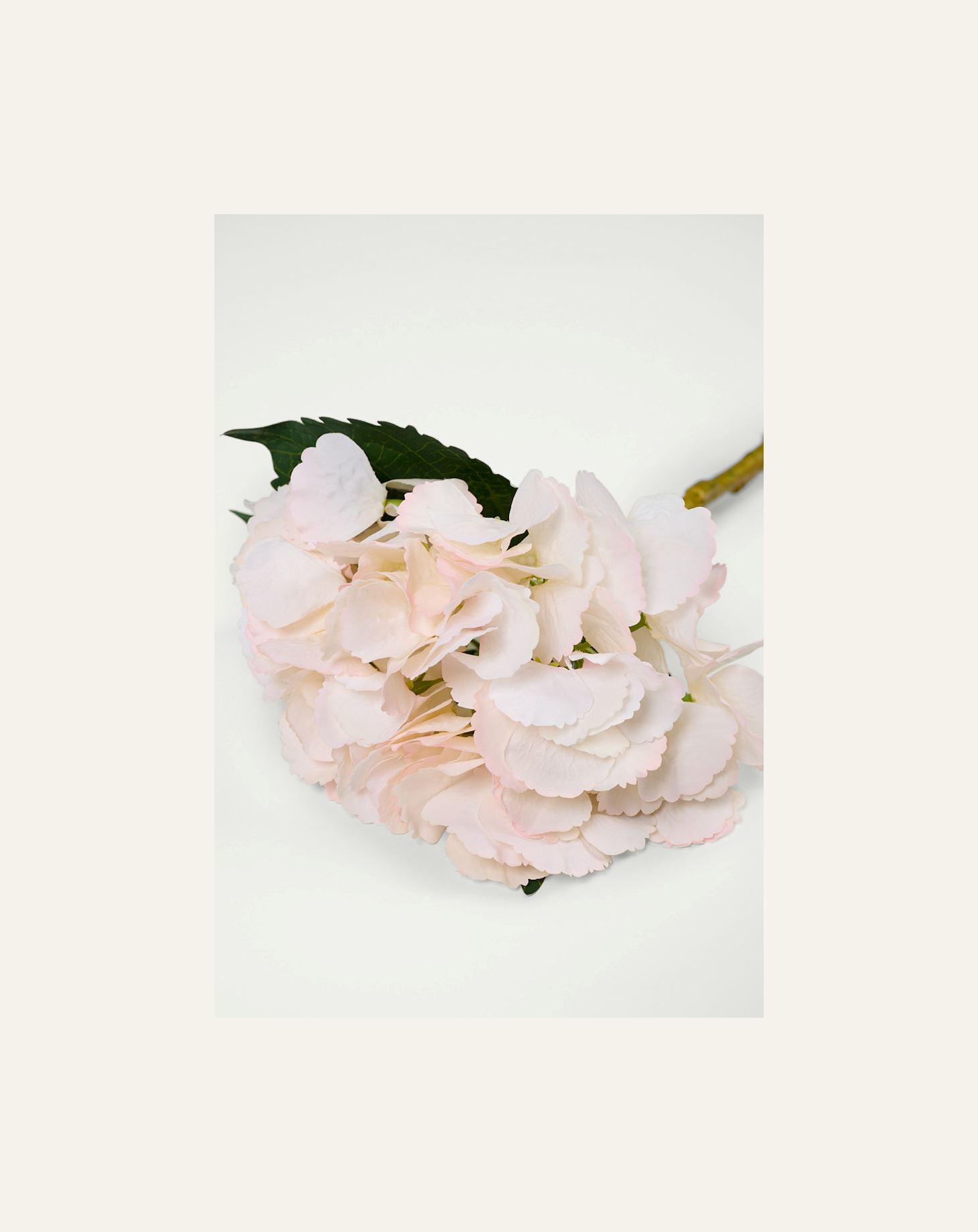 Kukka vaaleanroosa - 2