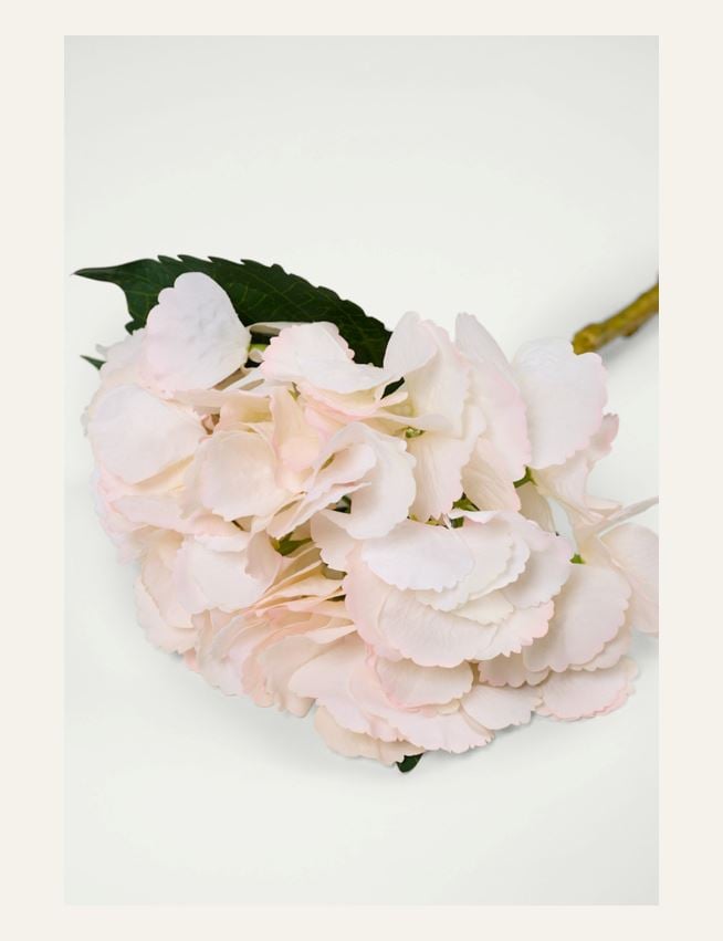 Kukka vaaleanroosa - 2