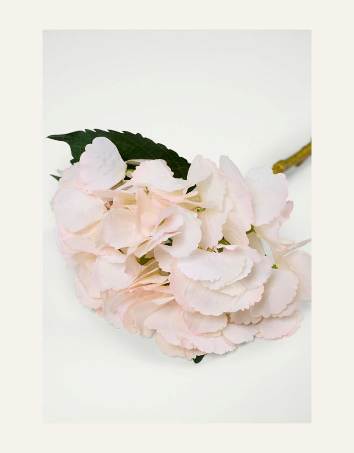 Kukka vaaleanroosa - 2