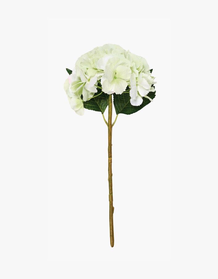 Kukka vaaleanvihreä - 18x18x46 cm vaaleanvihreä - 1