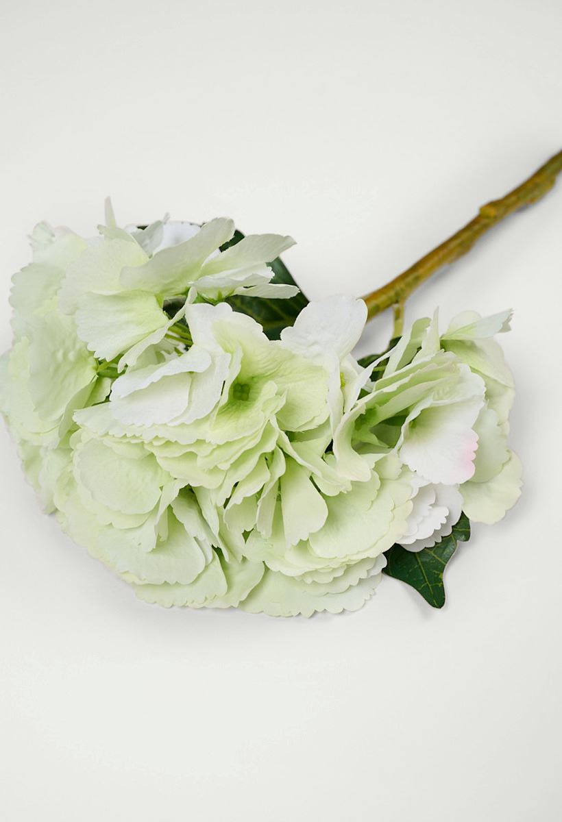 Kukka vaaleanvihreä - 2