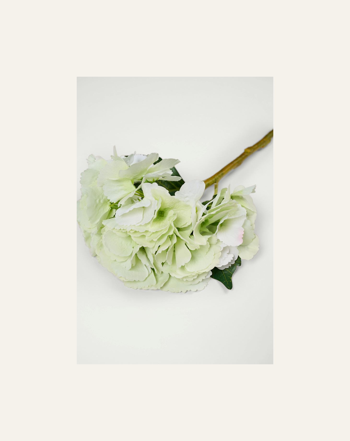 Kukka vaaleanvihreä - 2