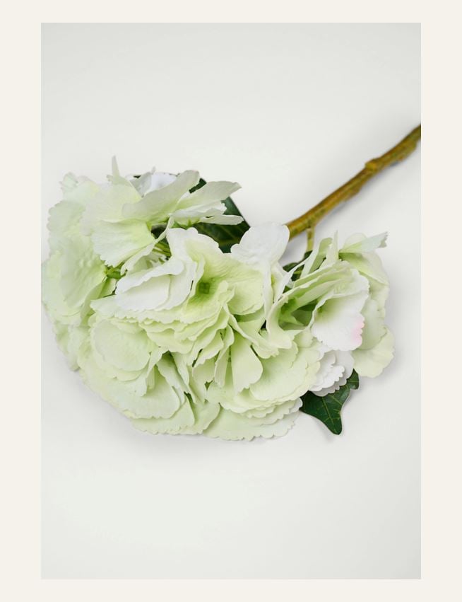 Kukka vaaleanvihreä - 2