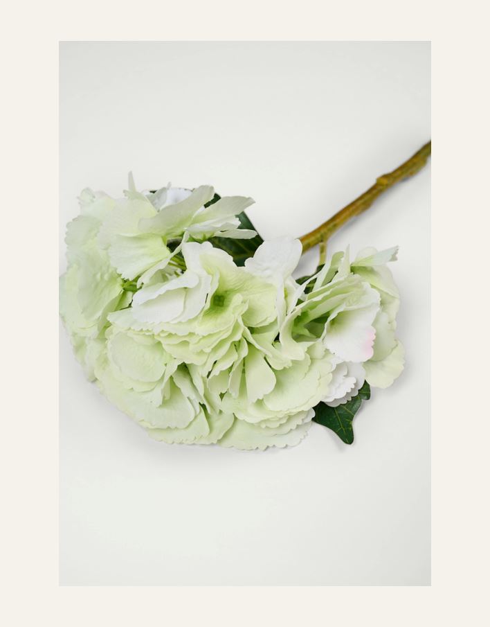 Kukka vaaleanvihreä - 2