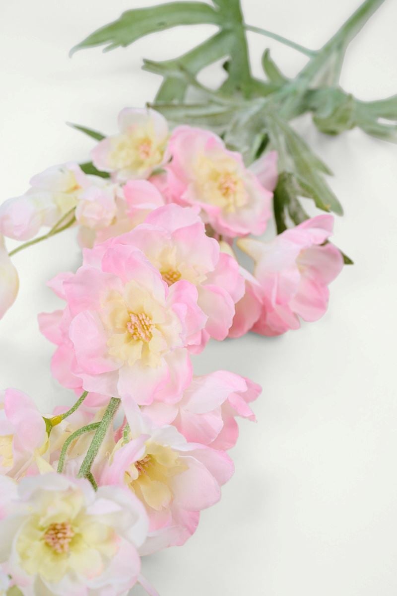 Kukka vaaleanroosa - 2