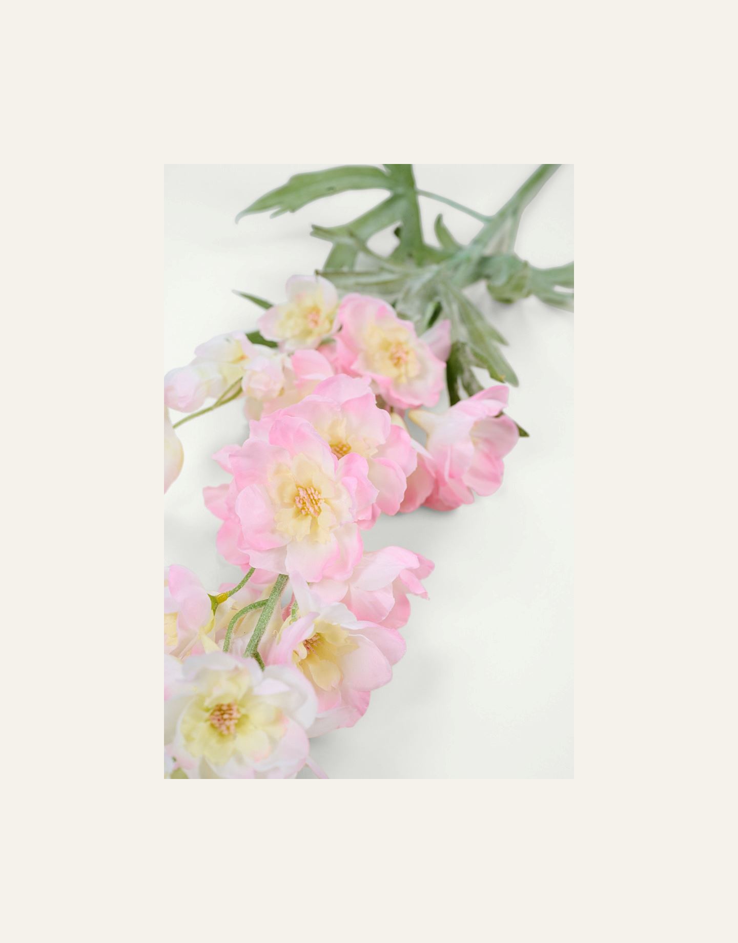 Kukka vaaleanroosa - 2