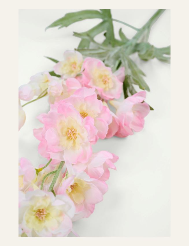 Kukka vaaleanroosa - 2