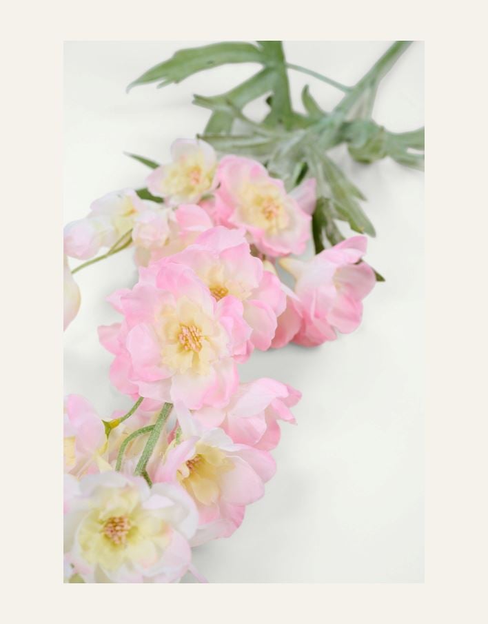 Kukka vaaleanroosa - 2