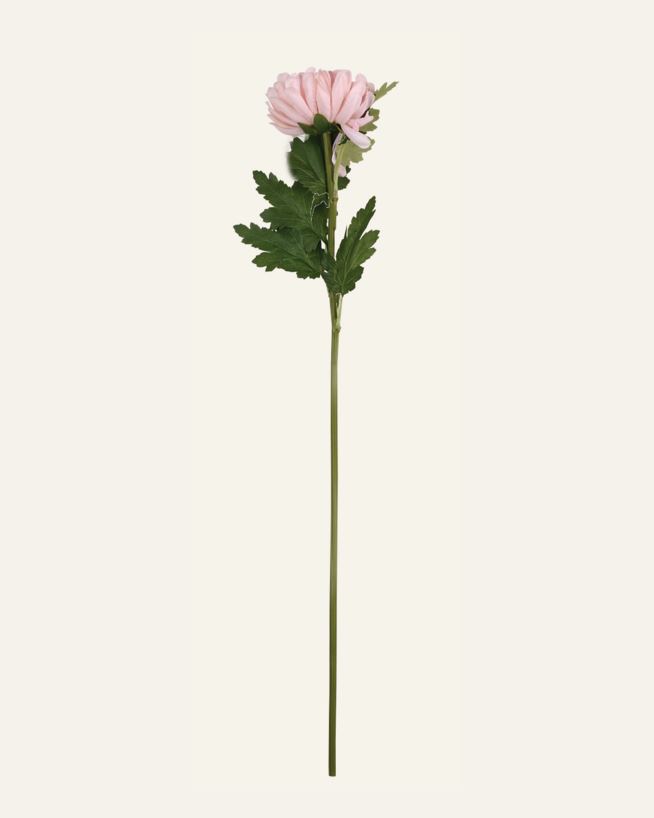 Kukka vaaleanroosa - 19x17x71 cm vaaleanroosa - 1