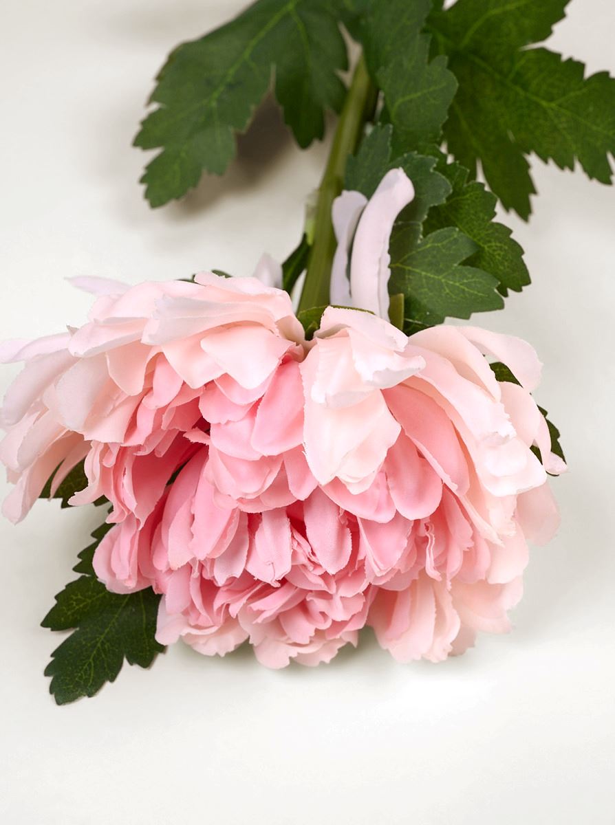 Kukka vaaleanroosa - 2