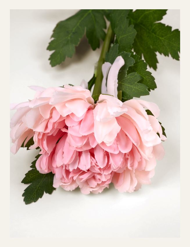 Kukka vaaleanroosa - 2