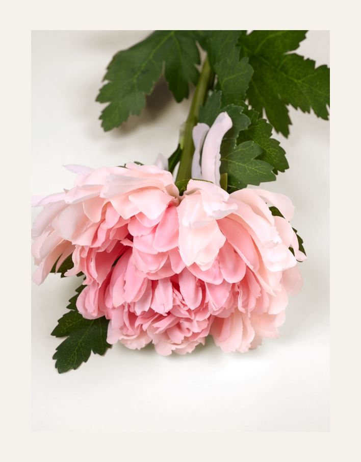 Kukka vaaleanroosa - 2