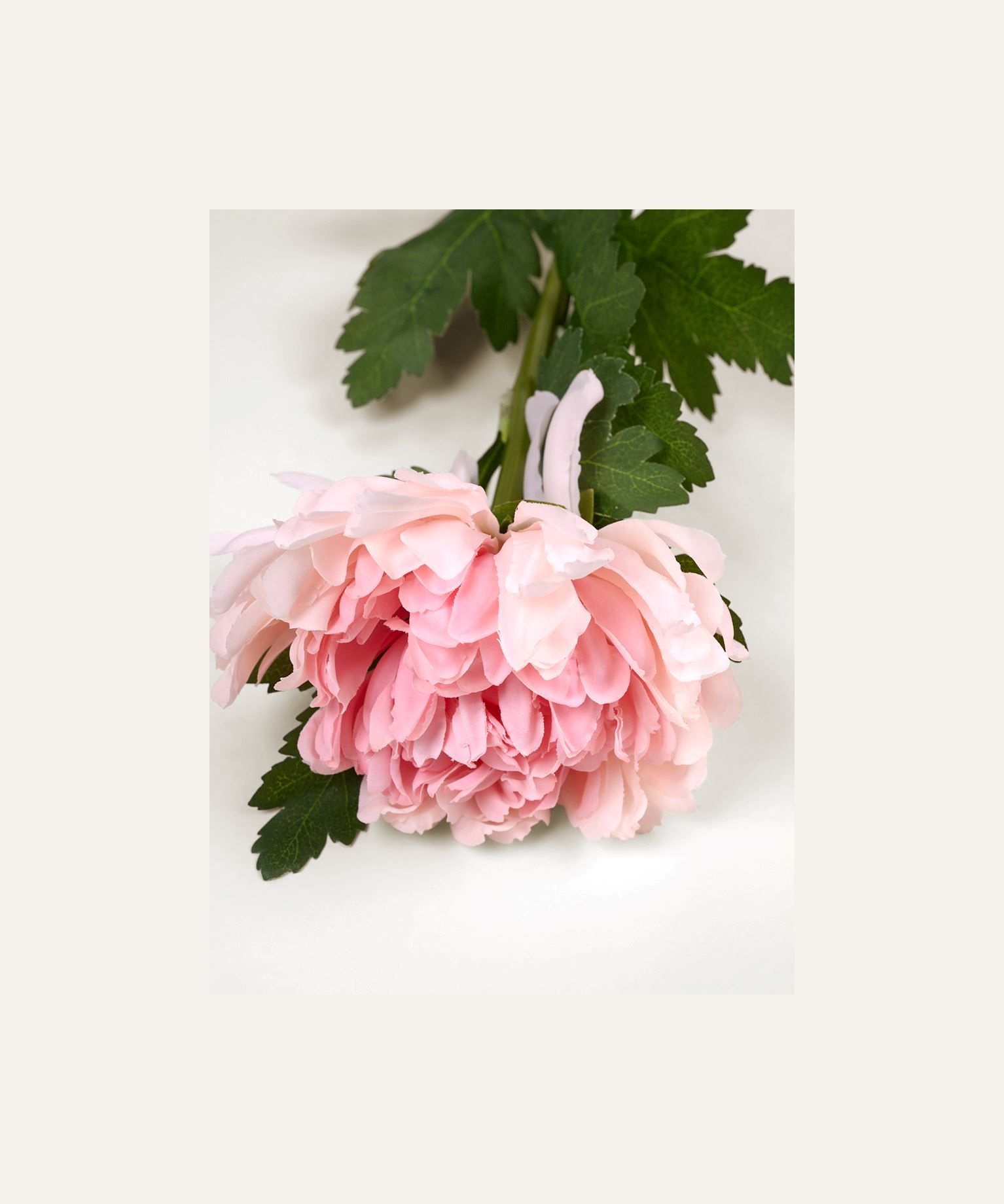 Kukka vaaleanroosa - 2