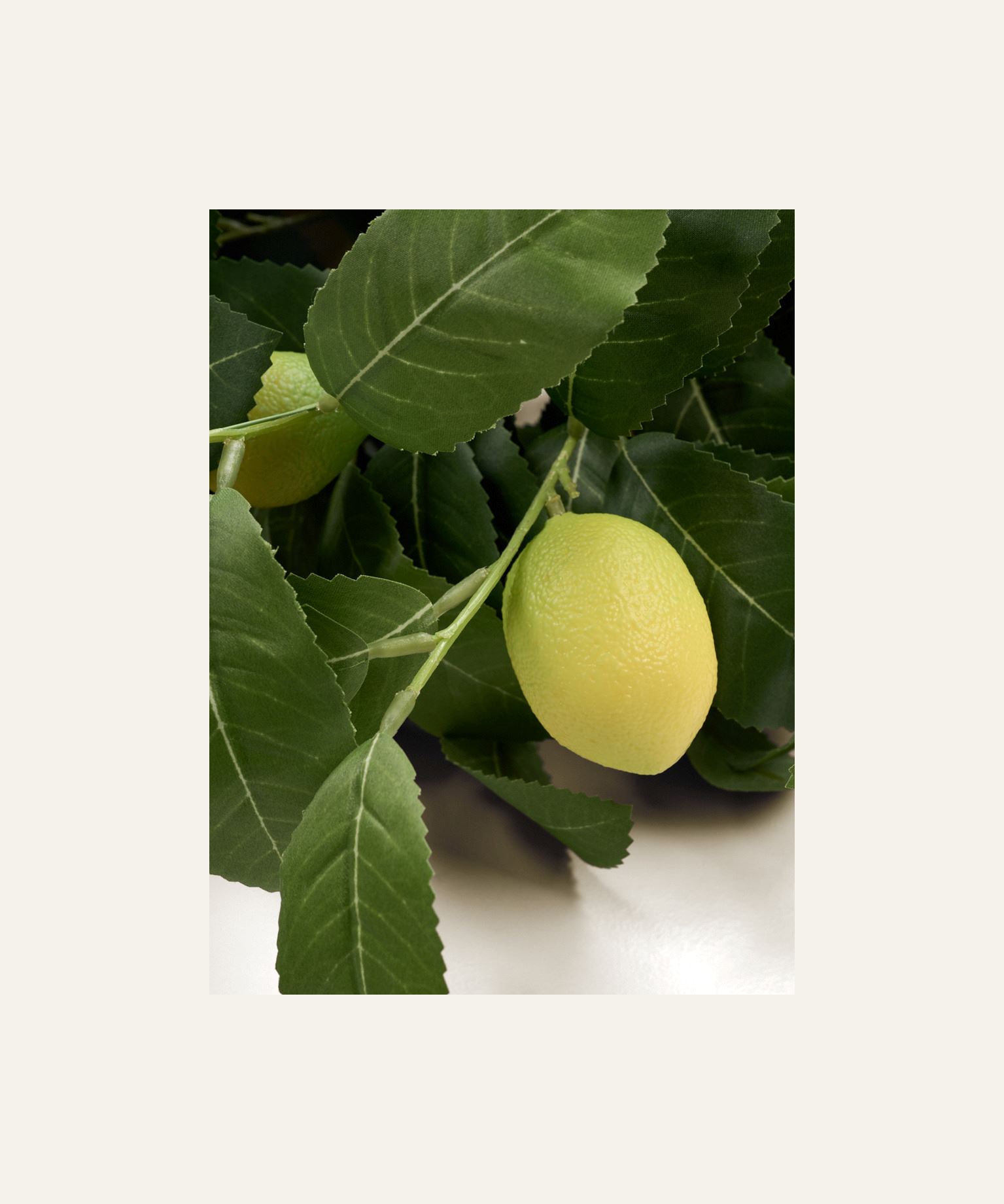 Kukkakimppu keltainen - 2