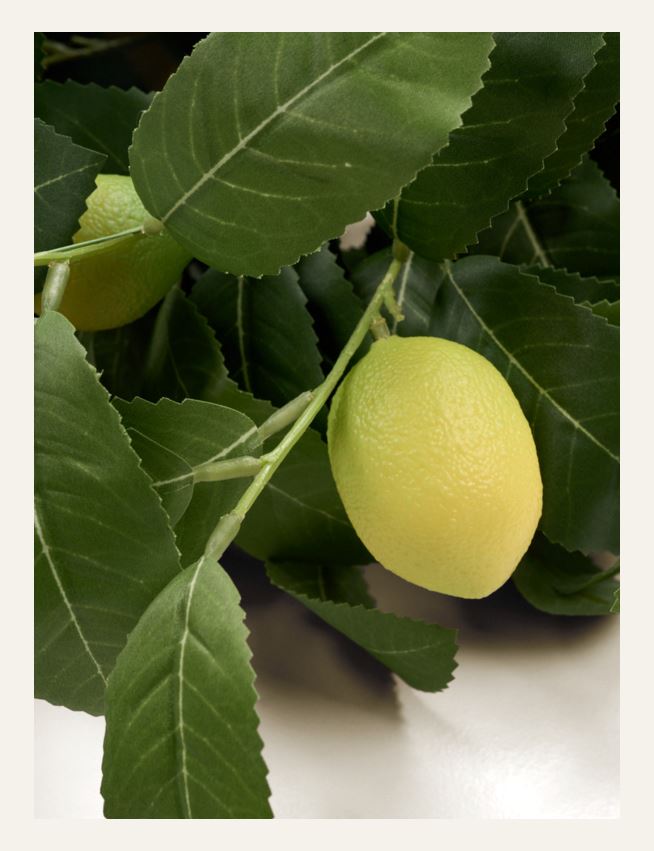 Kukkakimppu keltainen - 2