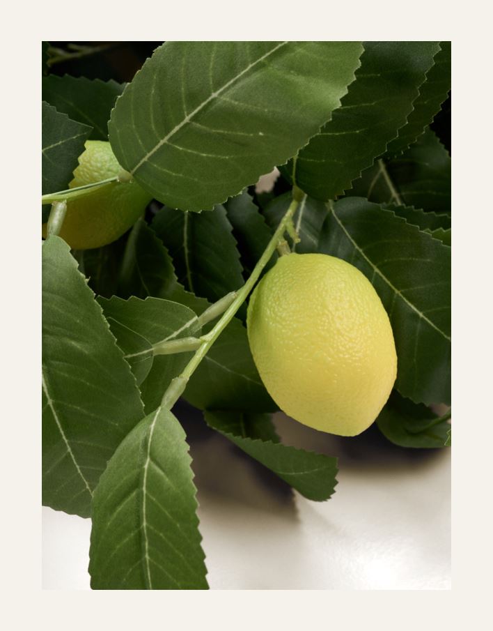 Kukkakimppu keltainen - 2