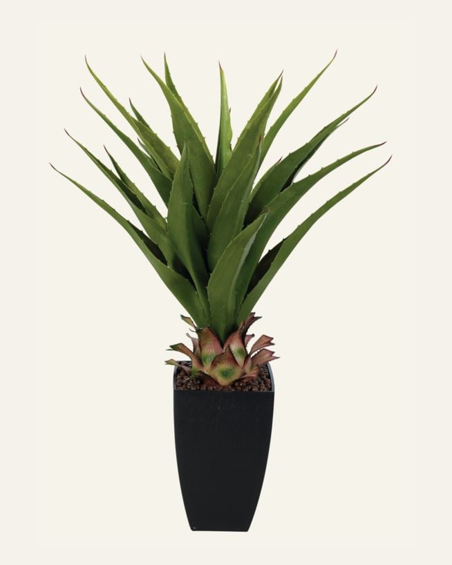 Viherkasvi vihreä - 75 cm vihreä - 1