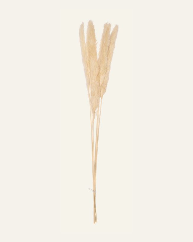 Olki luonnonväri - 70 cm luonnonväri - 1