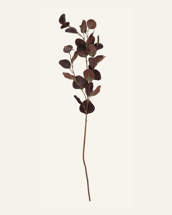 Oksa tummanruskea - 25x90 cm tummanruskea - 1