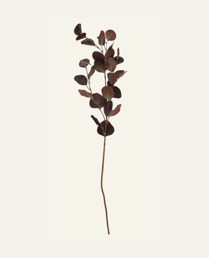 Oksa tummanruskea - 25x90 cm tummanruskea - 1