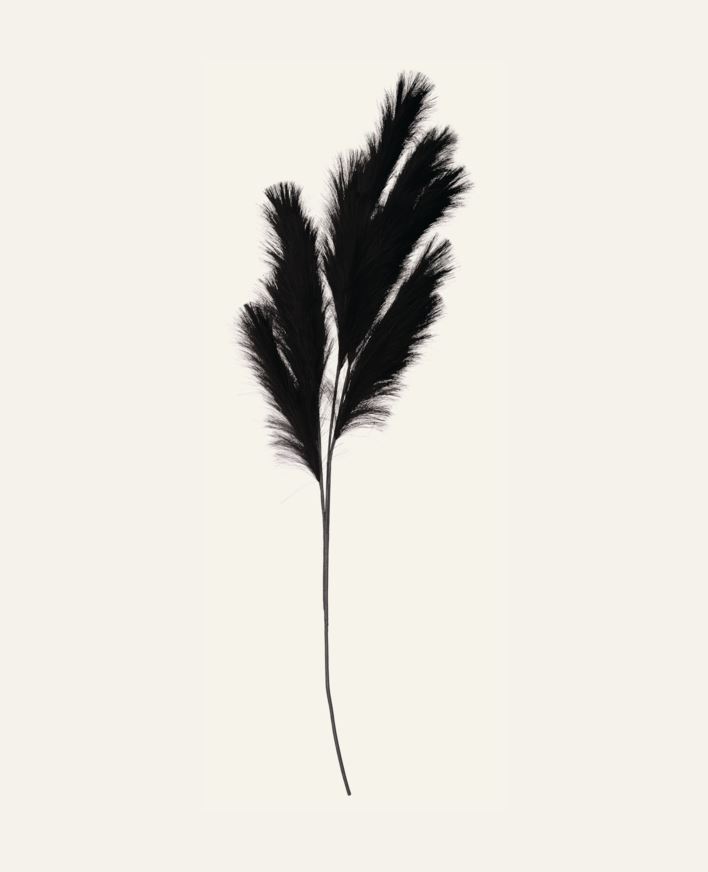 Olki musta - 120 cm musta - 1