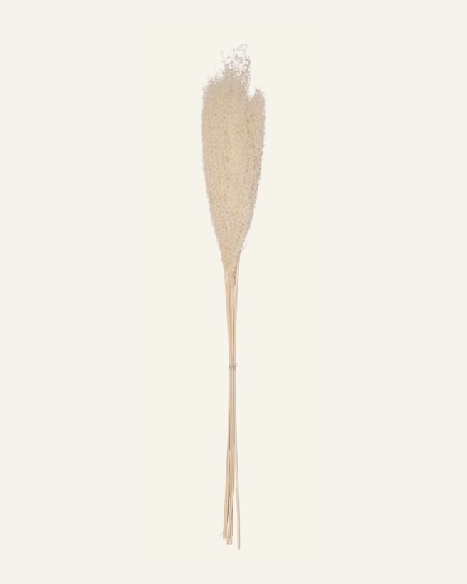 Olki luonnonvalkoinen - 75 cm luonnonvalkoinen - 1