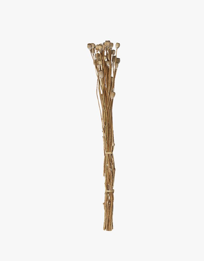 Kuivakukat luonnonväri - 45 cm luonnonväri - 1