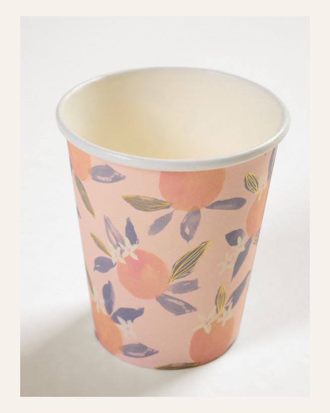 Pahvimuki, 8 kpl moniväri - 250 ml moniväri - 1
