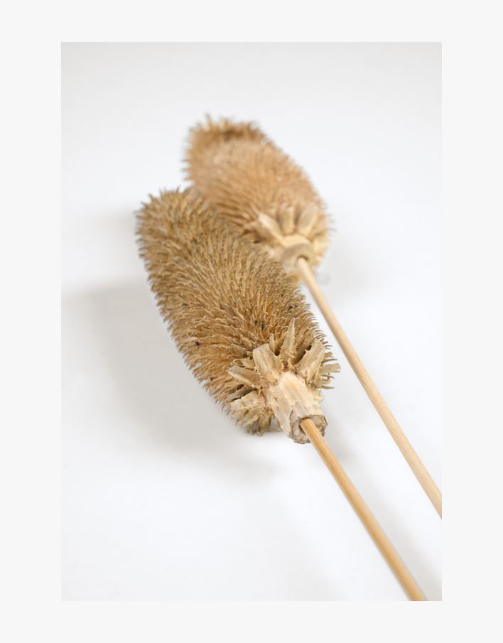 Kuivakukat luonnonväri - 73 cm luonnonväri - 1