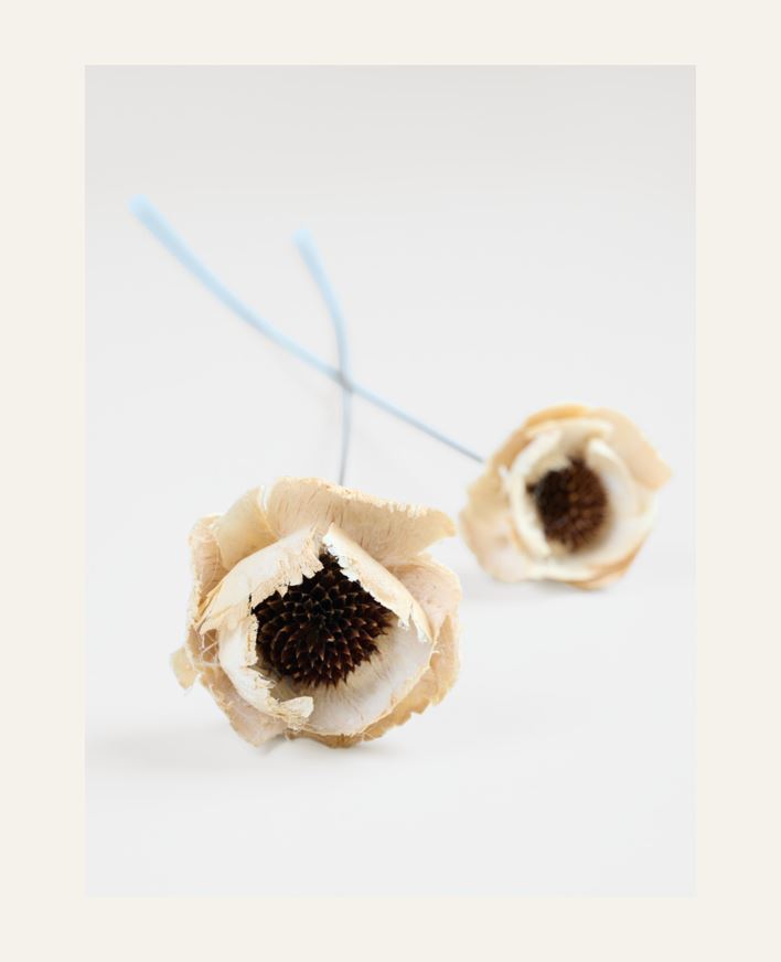 Kuivakukat valkoinen - 60 cm valkoinen - 1