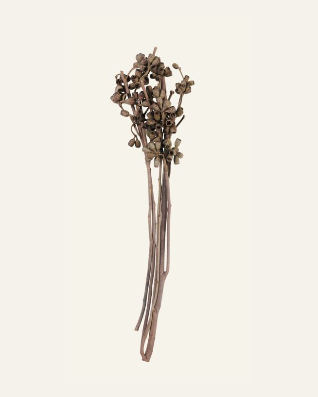 Kukkakimppu luonnonväri - 30 cm luonnonväri - 1
