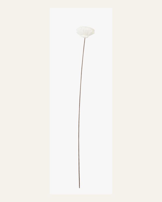 Kuivakukat luonnonvalkoinen - 63 cm luonnonvalkoinen - 1