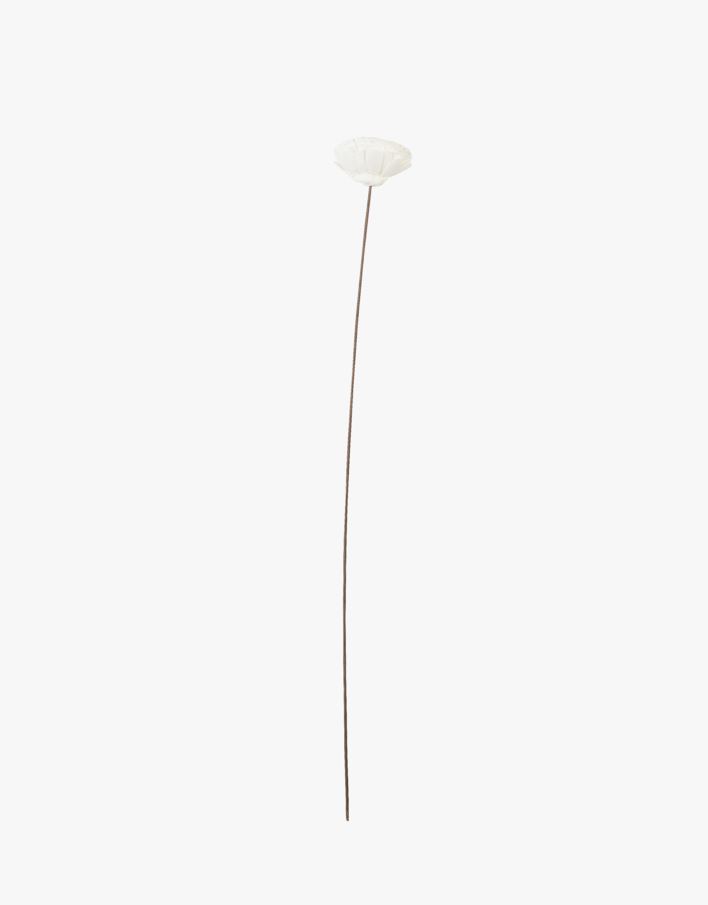 Kuivakukat luonnonvalkoinen - 63 cm luonnonvalkoinen - 1