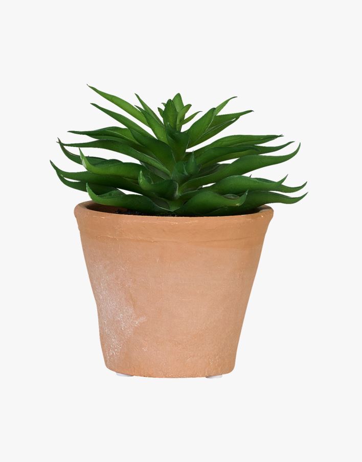 Mehikasvi moniväri/vihreä - 10x10x14 cm moniväri/vihreä - 1