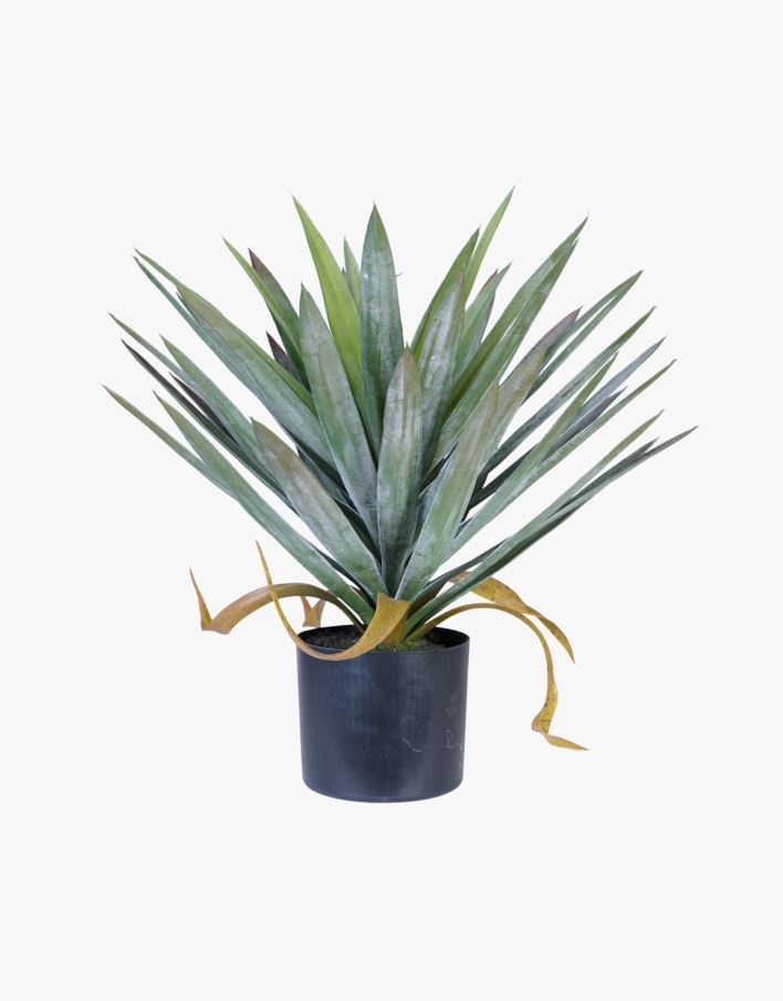 Viherkasvi vihreä - 41x41x48 cm vihreä - 1