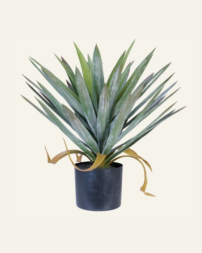 Viherkasvi vihreä - 41x41x48 cm vihreä - 1