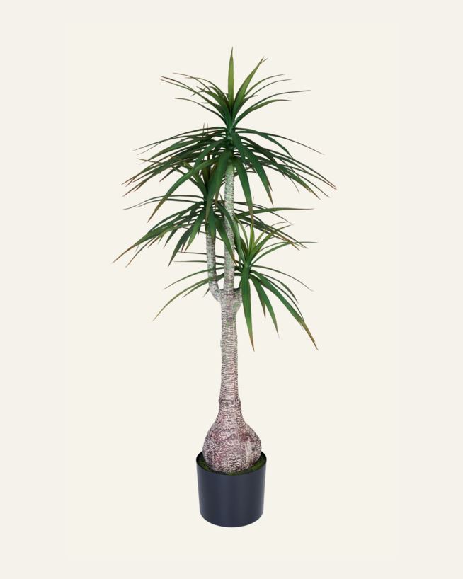 Viherkasvi vihreä - 60x60x147 cm vihreä - 1