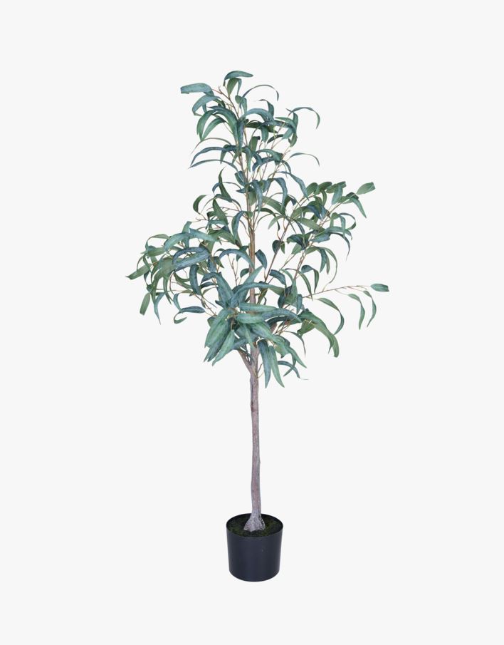 Viherkasvi vihreä - 55x50x150 cm vihreä - 1