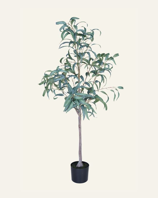 Viherkasvi vihreä - 55x50x150 cm vihreä - 1