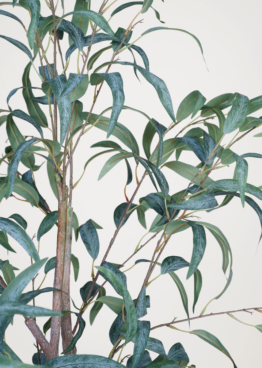 Viherkasvi vihreä - 2